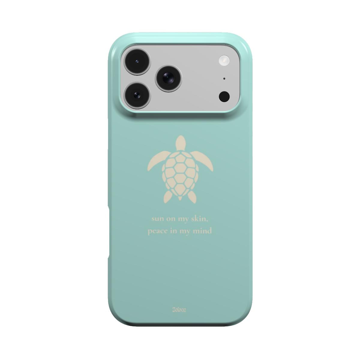 Turquoise case with sea turtle